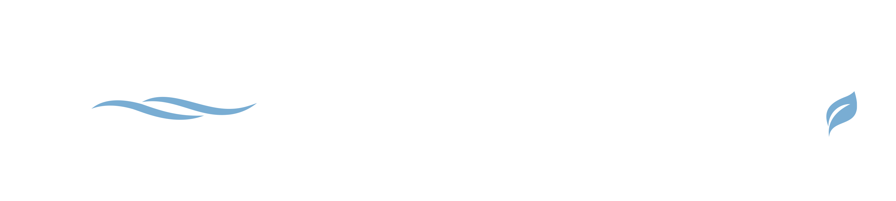 Logo MRS Environnemment